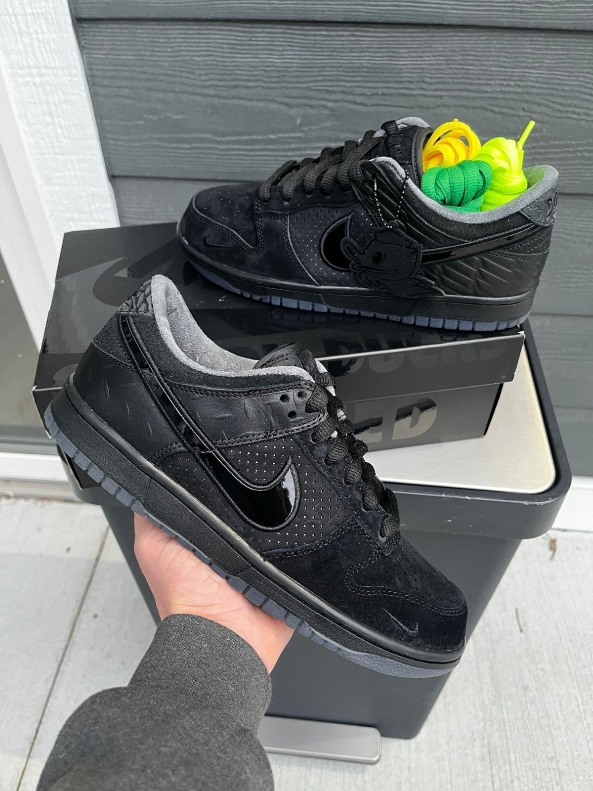 NIKE SB DUNK LOW "DUCK OF THE FEATHER BLACK UNIVERSITY"